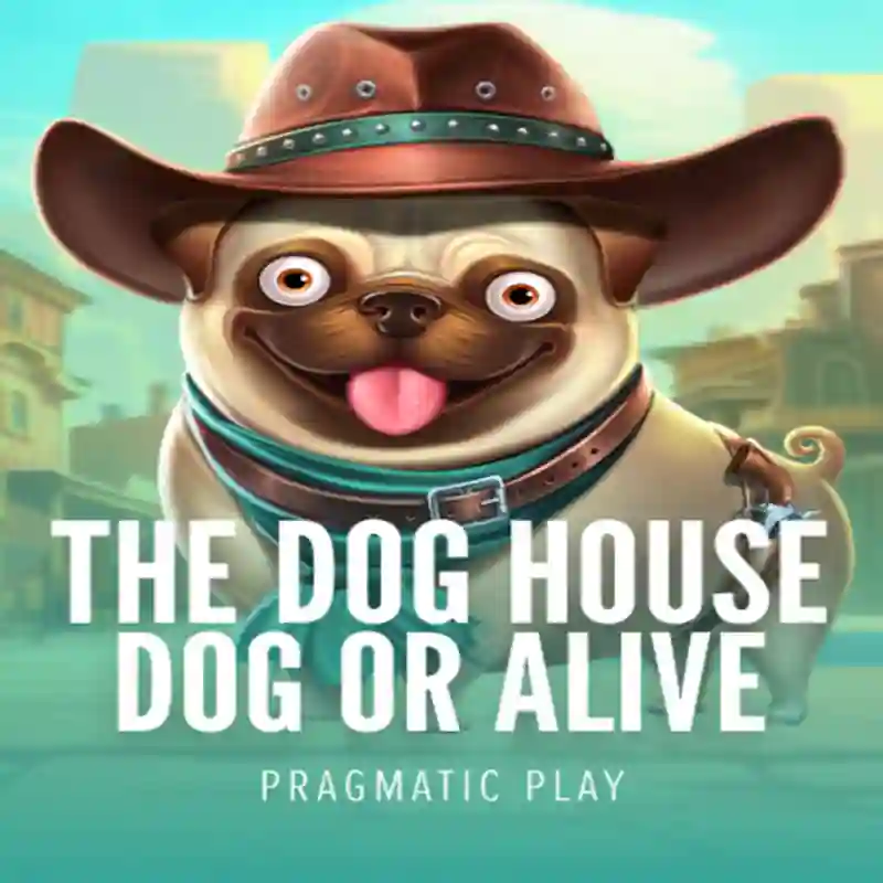 Jugar Dog House Dog & Alive en Winova